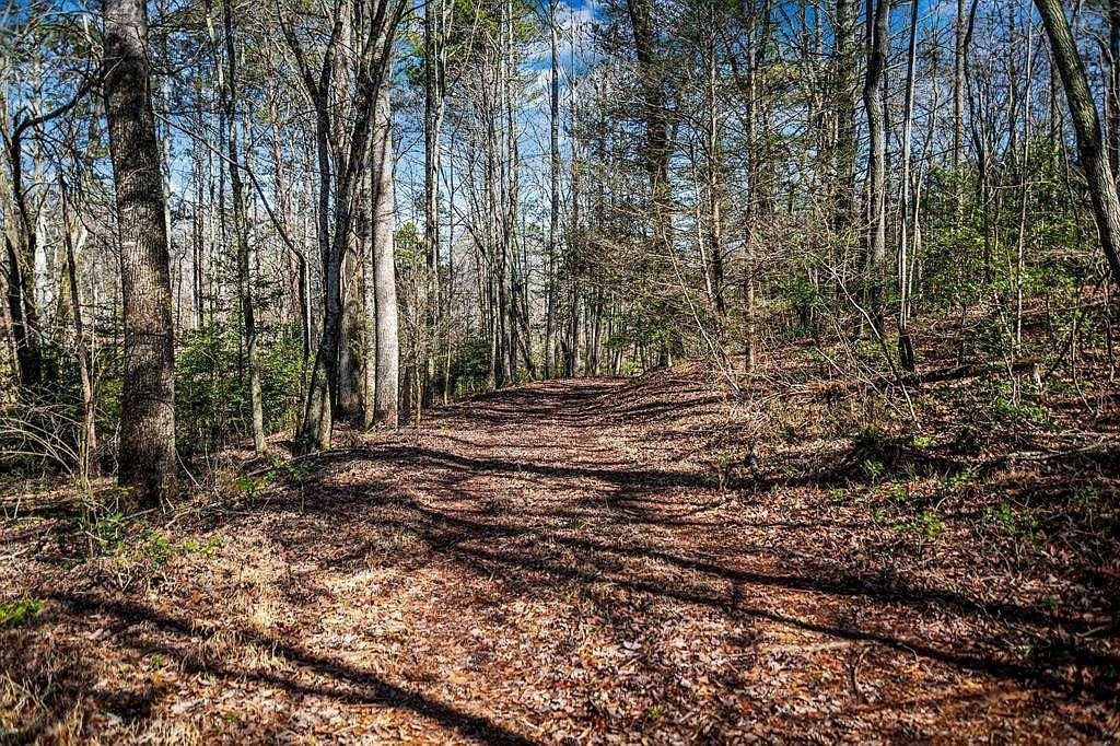 Trct C Captains Cv Blairsville, GA 30512 - Thumbnail 4