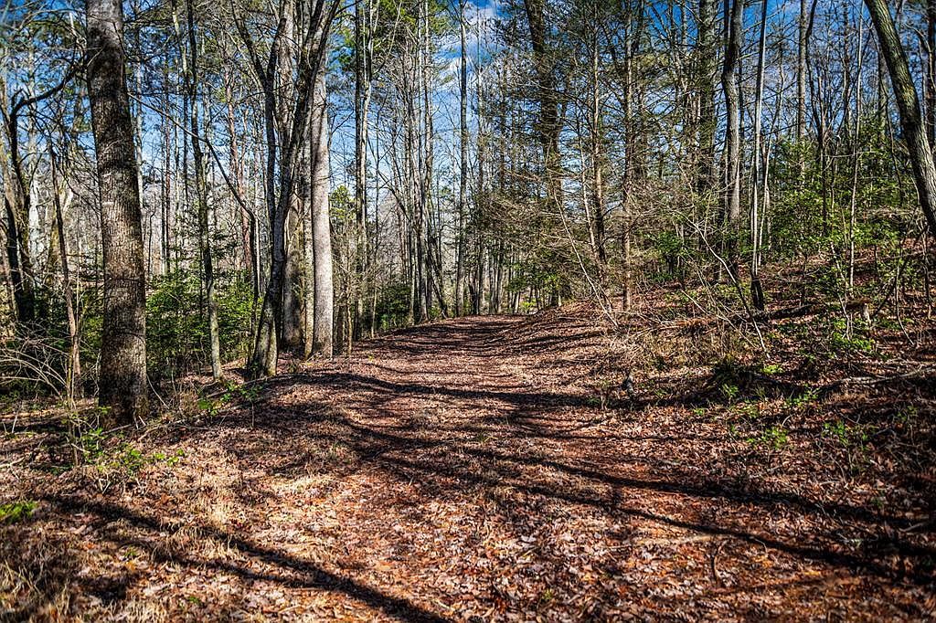 TRACT Captains Cv #C Blairsville, GA 30512 - Thumbnail 4