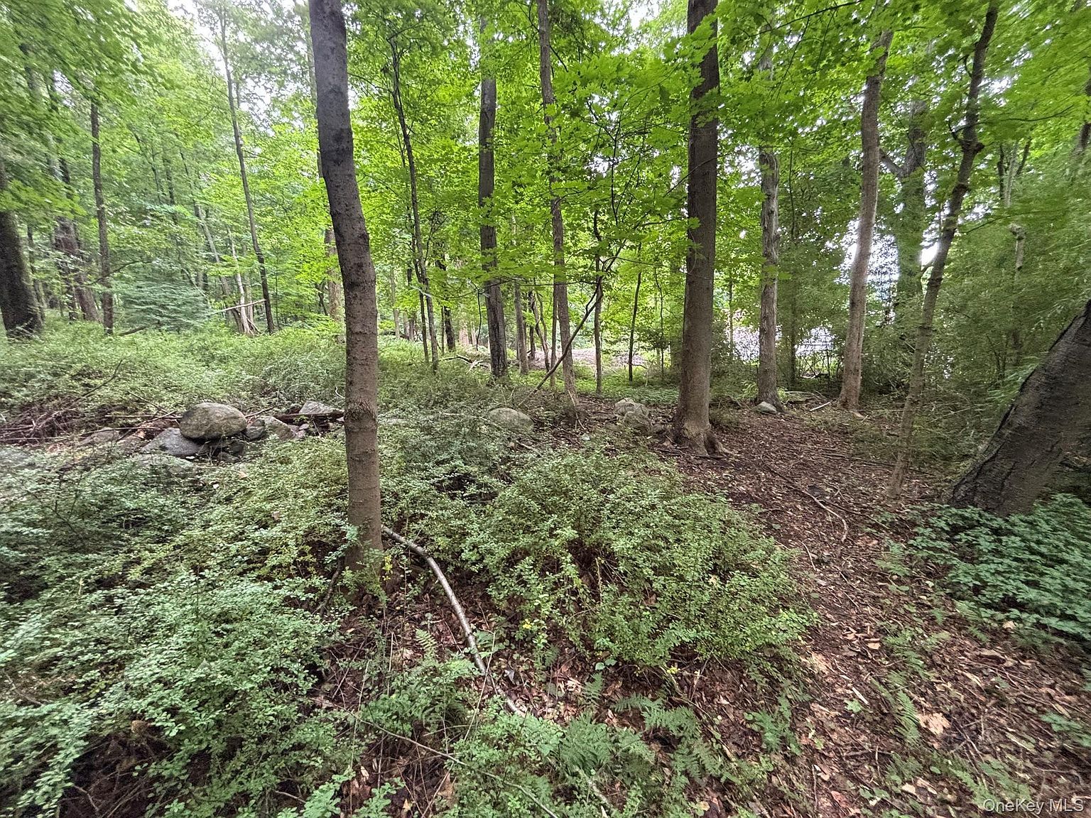 163 Green Ln Bedford Hills, NY 10507 - Thumbnail 4