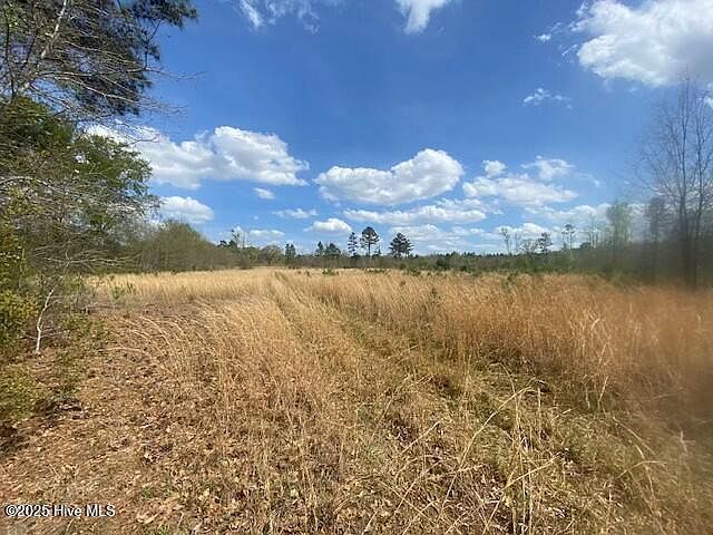 28385 Aberdeen Rd Wagram, NC 28396 - Thumbnail 4