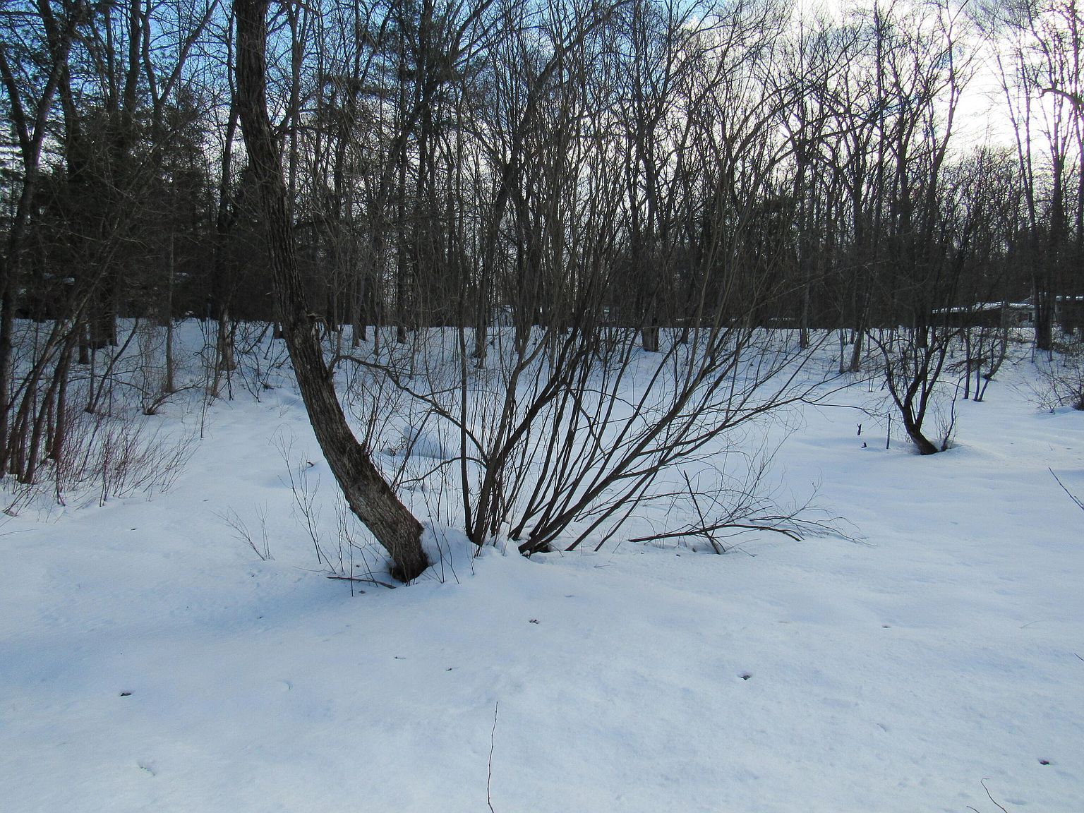 Marion St Wellston, MI 49689 - Thumbnail 4