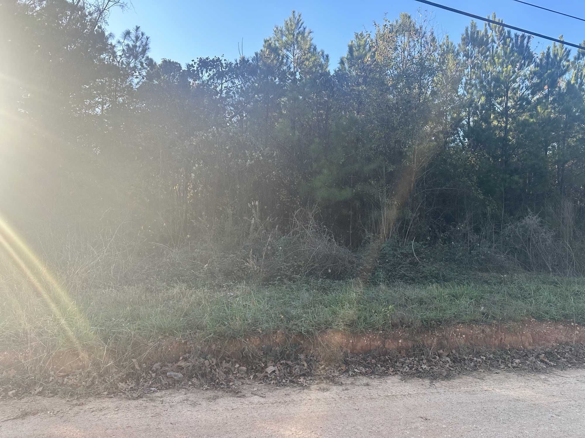 Hwy 20 S, Covington, GA, USA, 30016 - Thumbnail 4