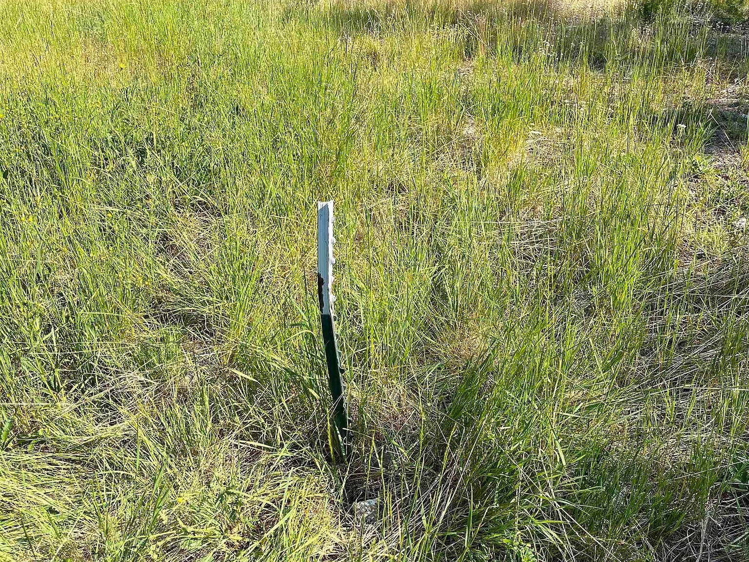 773 Smiley Creek Rd Sawtooth City, ID 83340 - Thumbnail 4