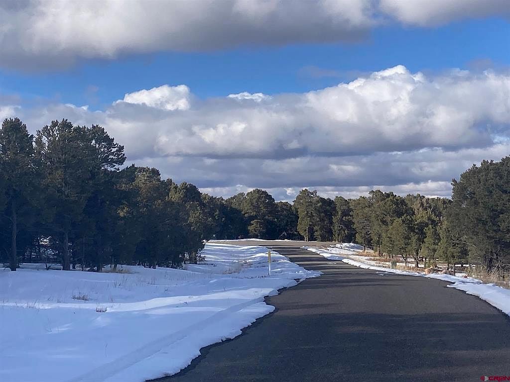 LOT 2 Snowberry Ln Ridgway, CO 81432 - Thumbnail 4