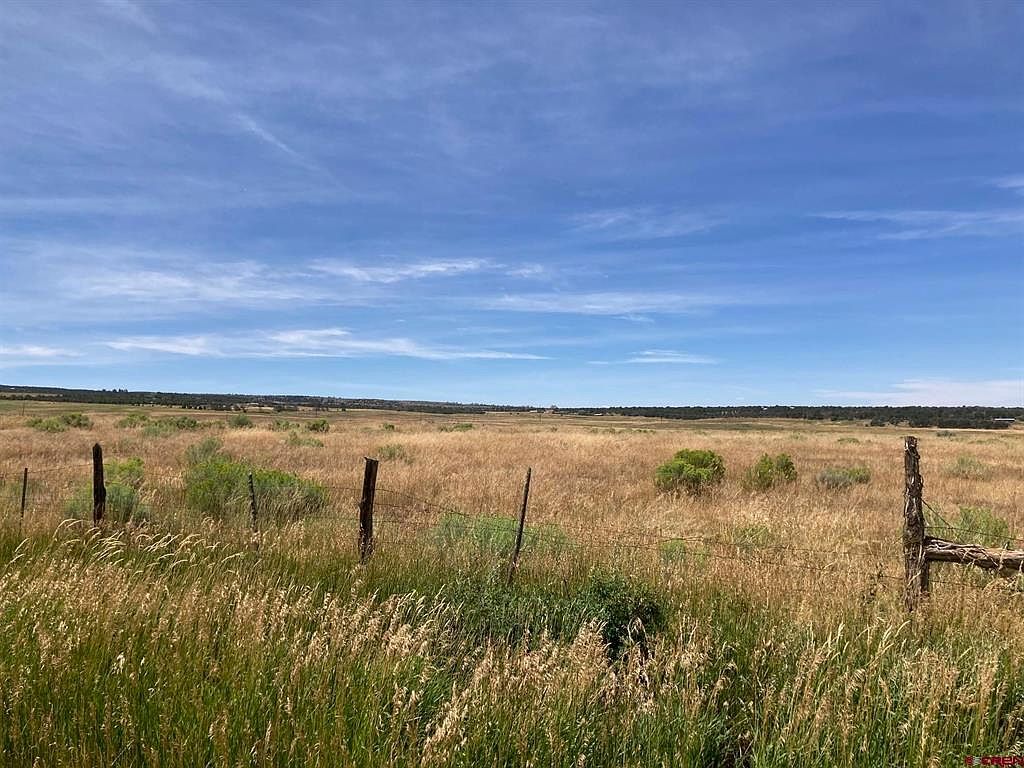 42Z South Rd Norwood, CO 81423 - Thumbnail 4