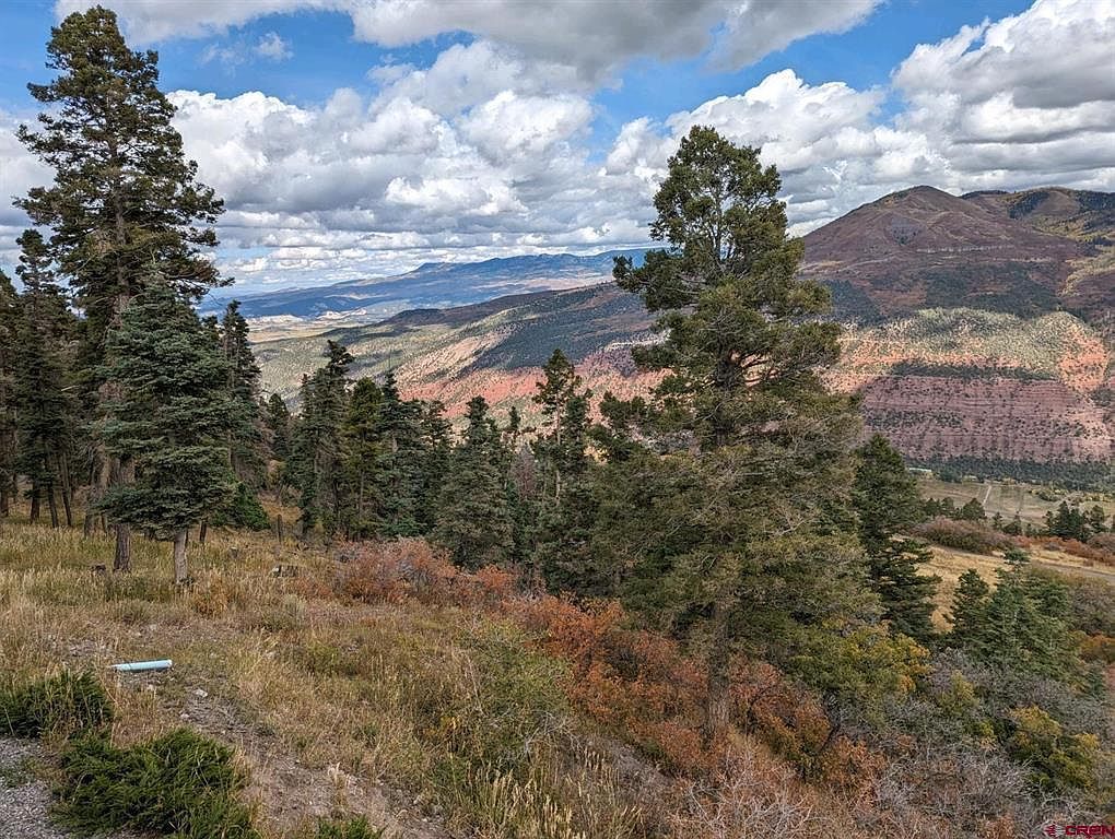 361 Golden Ridge Dr Ridgway, CO 81432 - Thumbnail 4