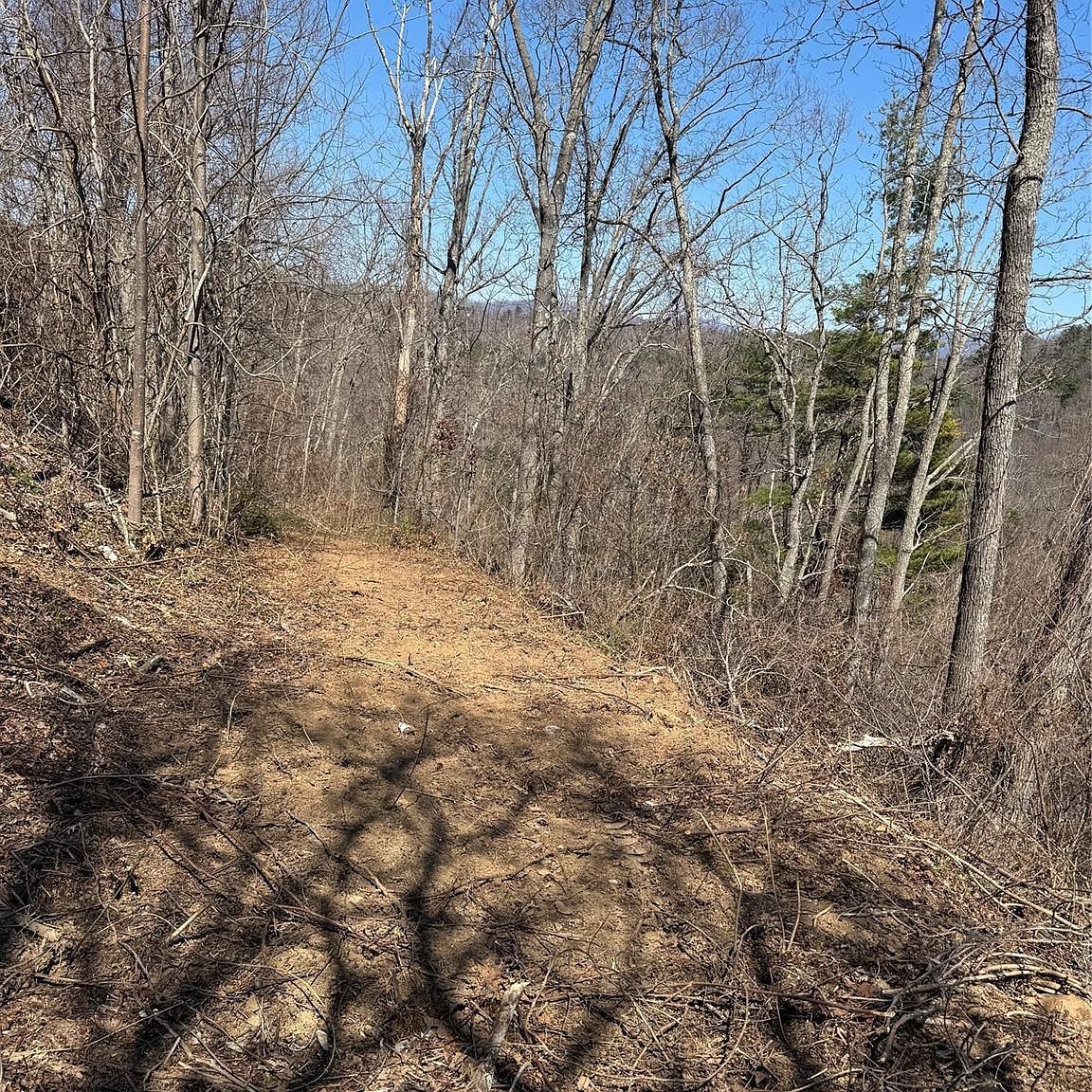 140 Summit Tower Cir #212 Asheville, NC 28804 - Thumbnail 4