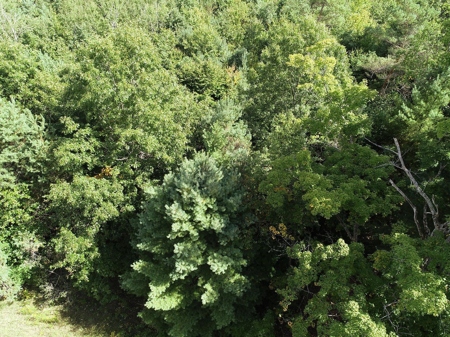 00 Hawkins Rd Luther, MI 49656 - Thumbnail 4