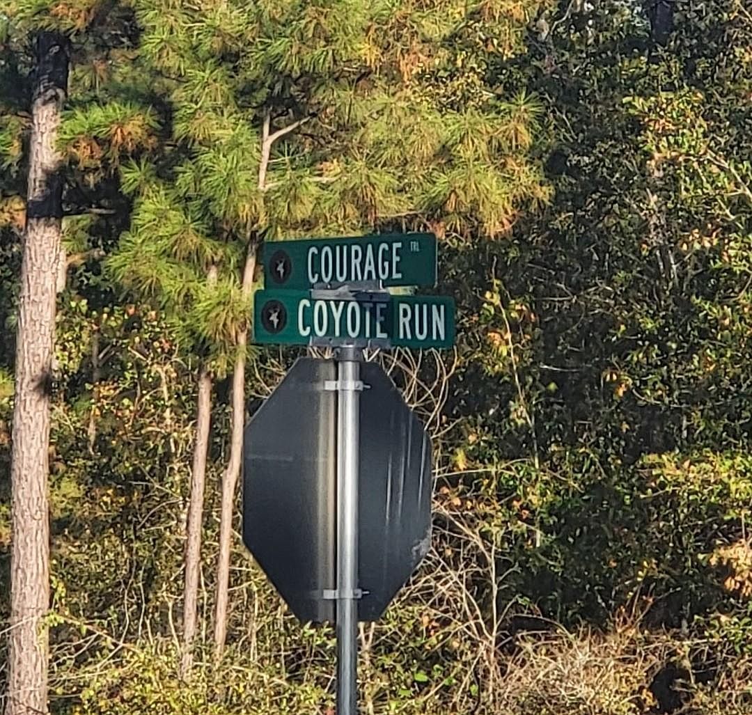 104 Coyote Run New Waverly, TX 77358 - Thumbnail 4