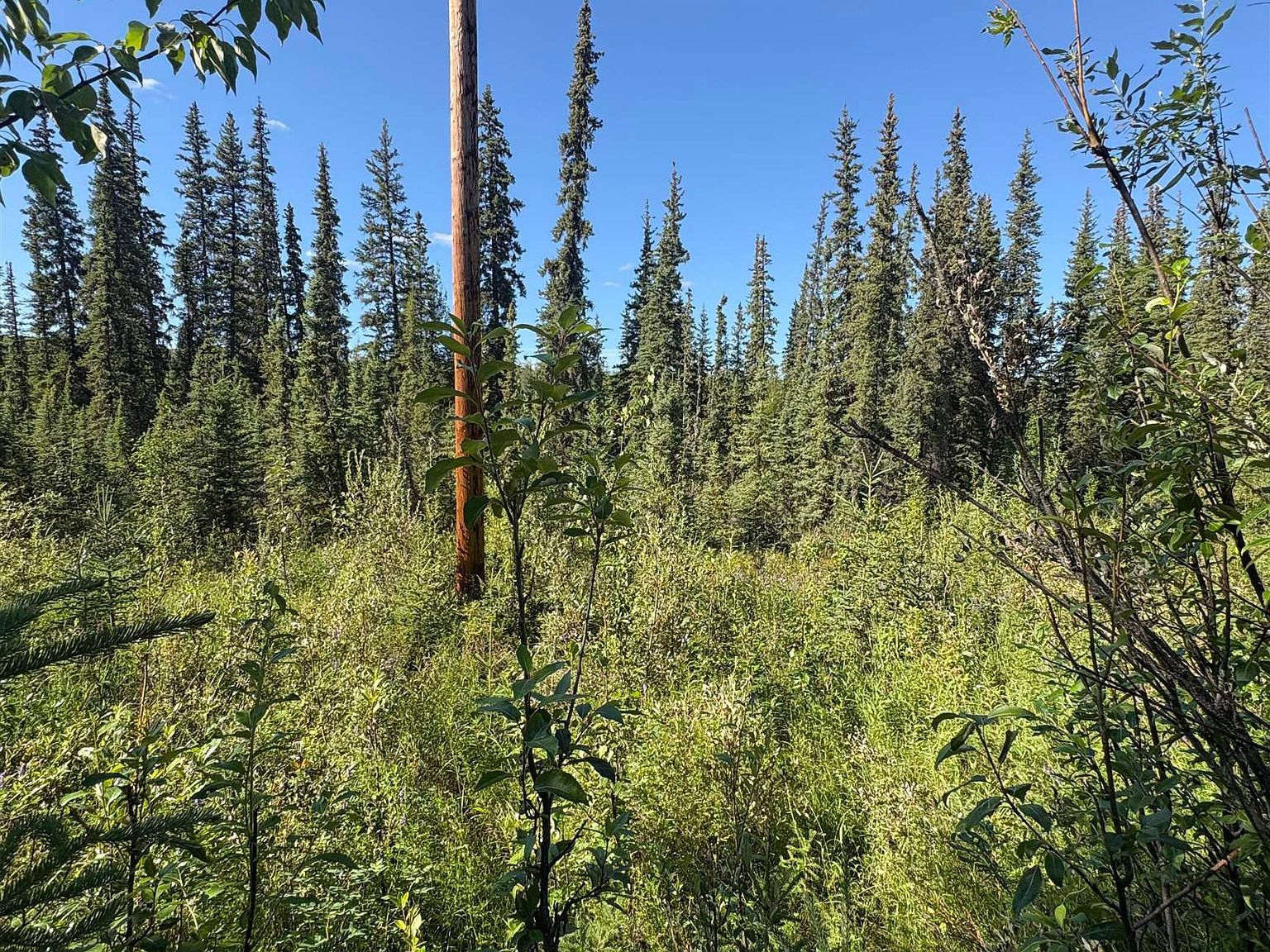 2820 Reliance Dr Fairbanks, AK 99709 - Thumbnail 4
