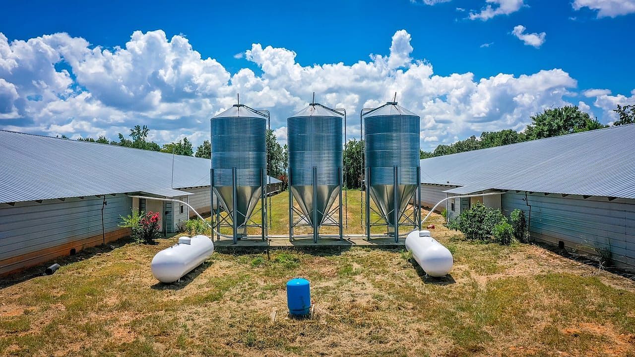 154 Bald Eagle Ln Mena, AR 71953 - Thumbnail 4