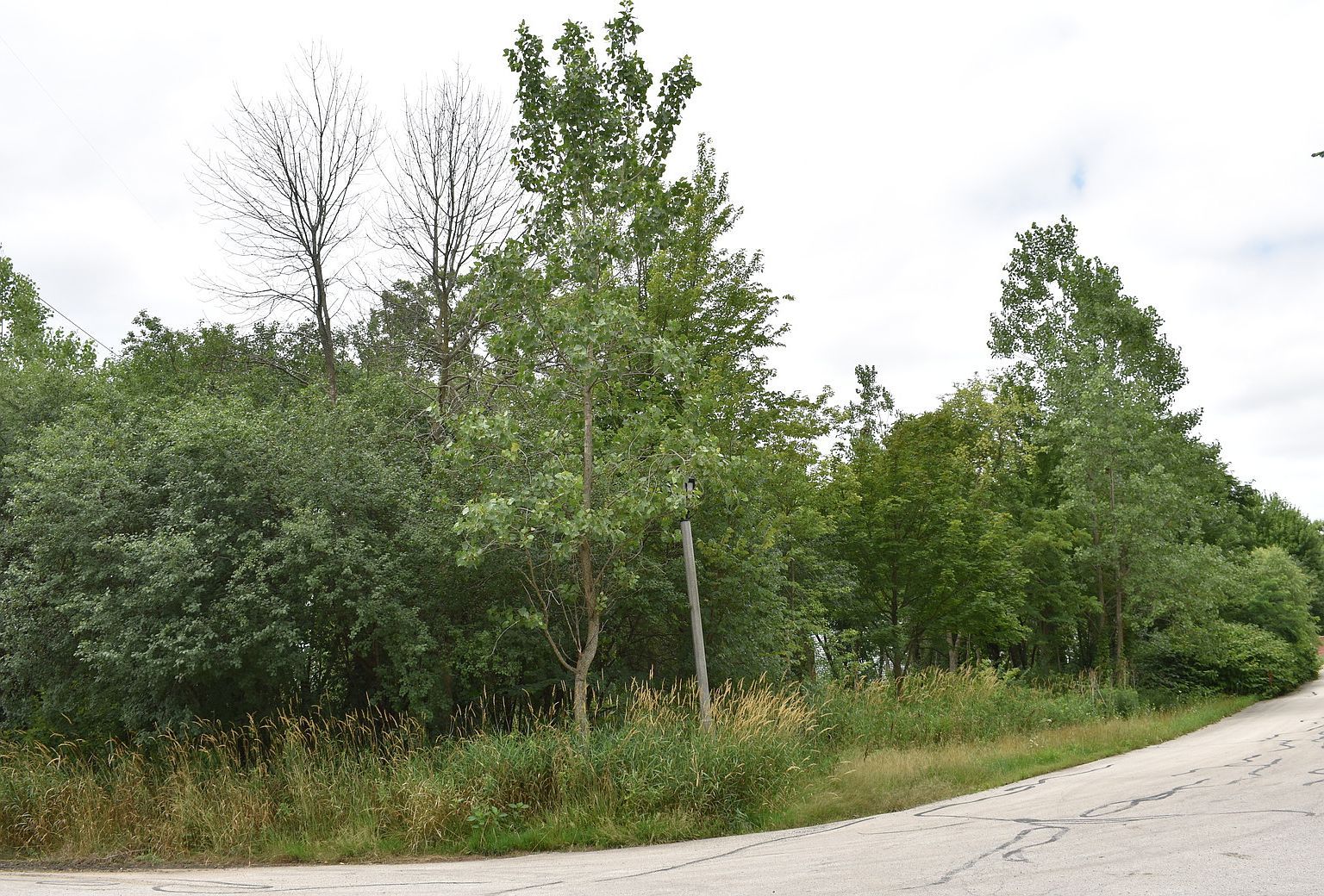 11665 Orchard Rd Willow Springs, IL 60480 - Thumbnail 4