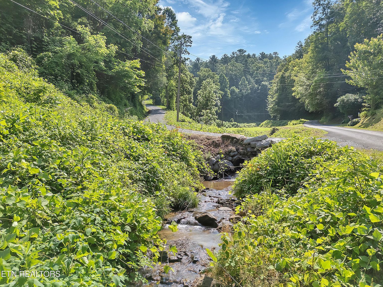 4620 Teague Branch Rd Hartford, TN 37753 - Thumbnail 4