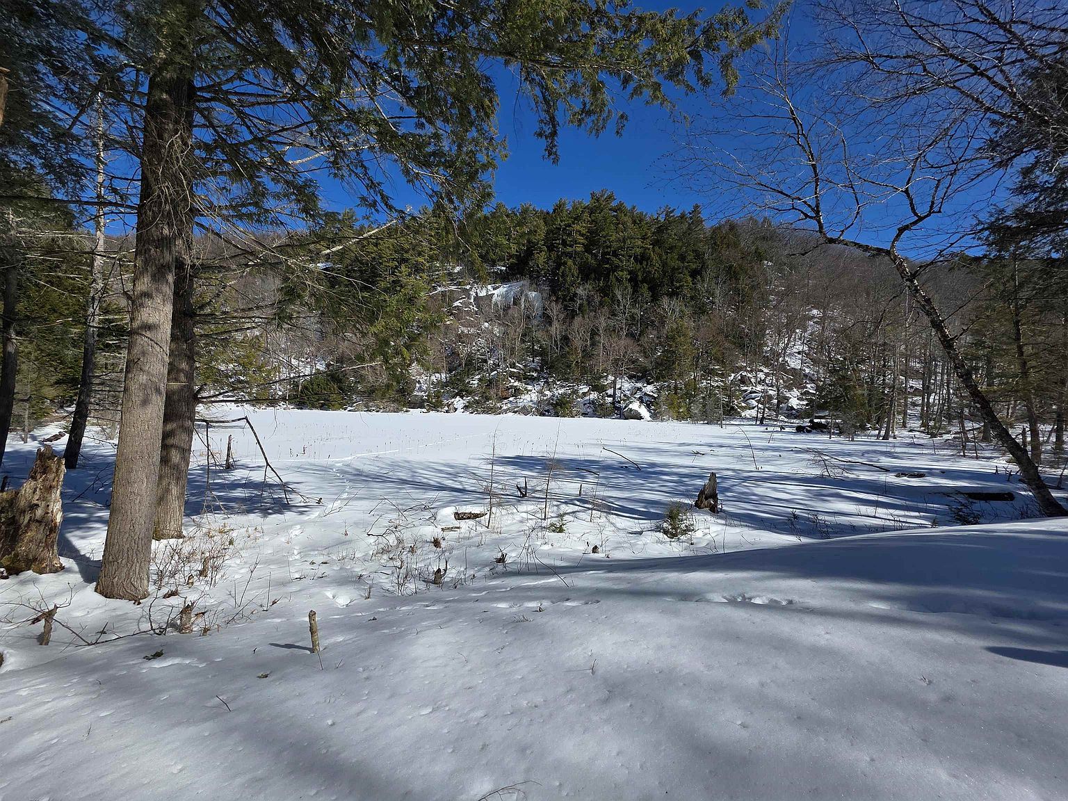 0 Turkey Mountain Rd Jamaica, VT 05343 - Thumbnail 4