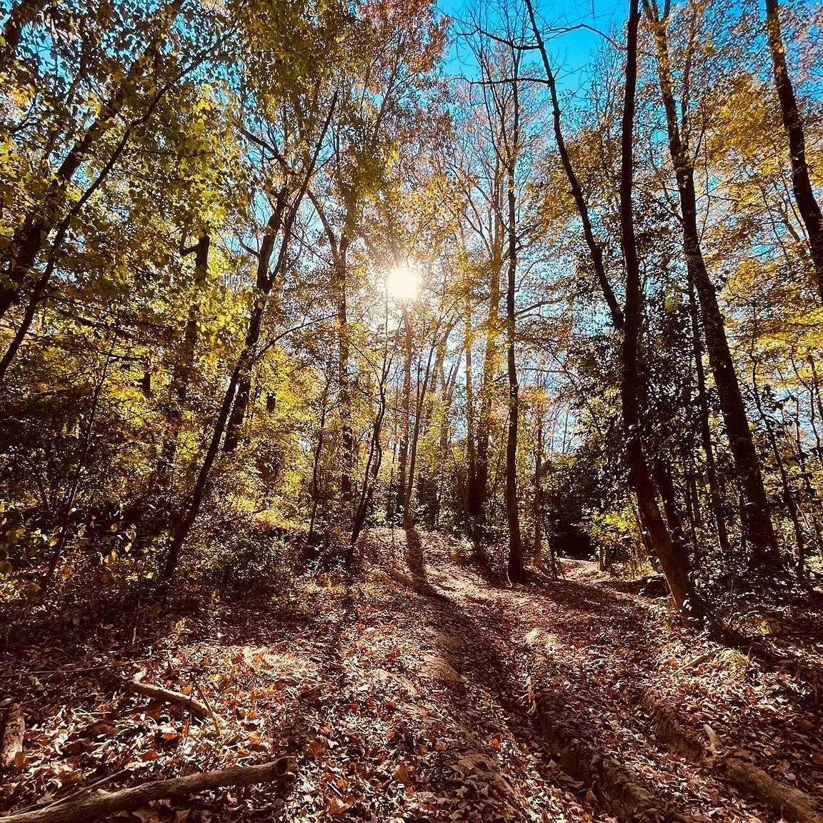 0 Smyrna Church Rd Pageland, SC 29728 - Thumbnail 4