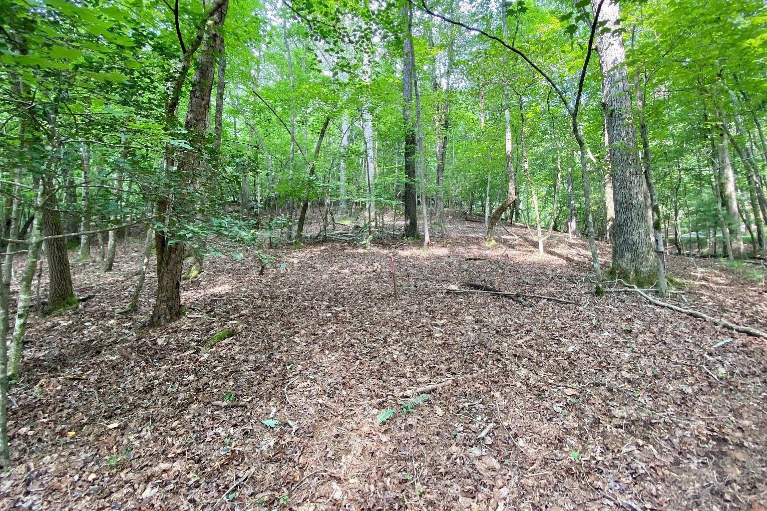 137R/135 Shiloh Ln Ellijay, GA 30540 - Thumbnail 4