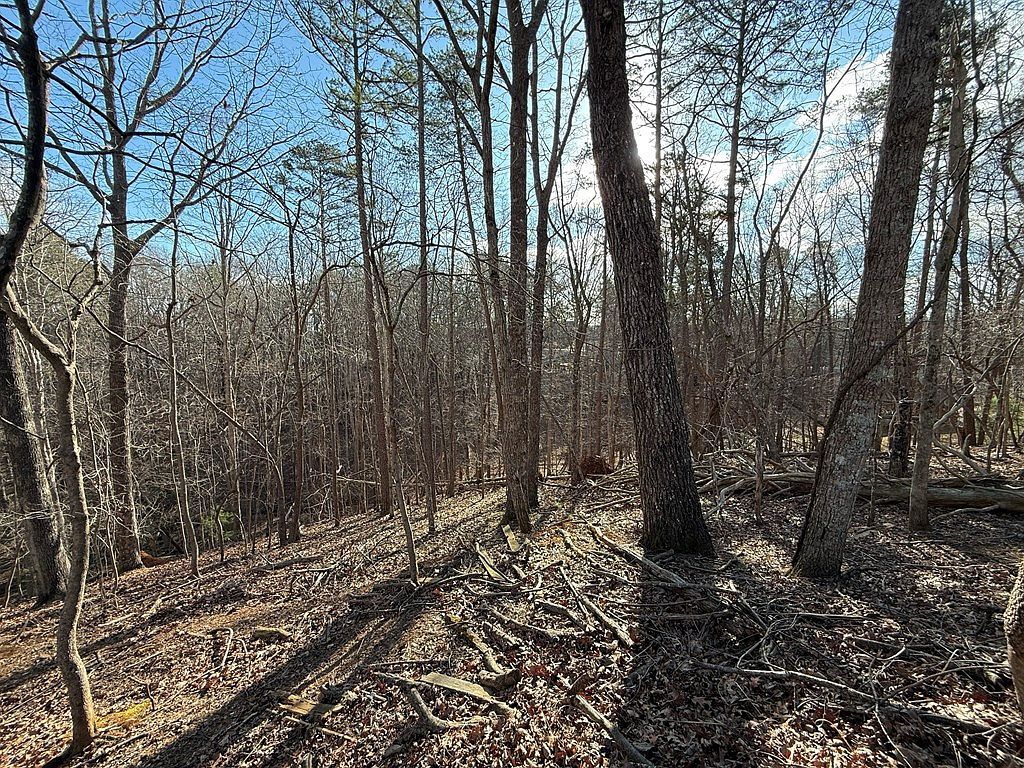 715/716 Hilary Ct Ellijay, GA 30540 - Thumbnail 4