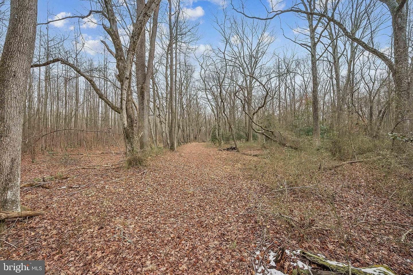 0 Fillmore Ave Glassboro, NJ 08028 - Thumbnail 4