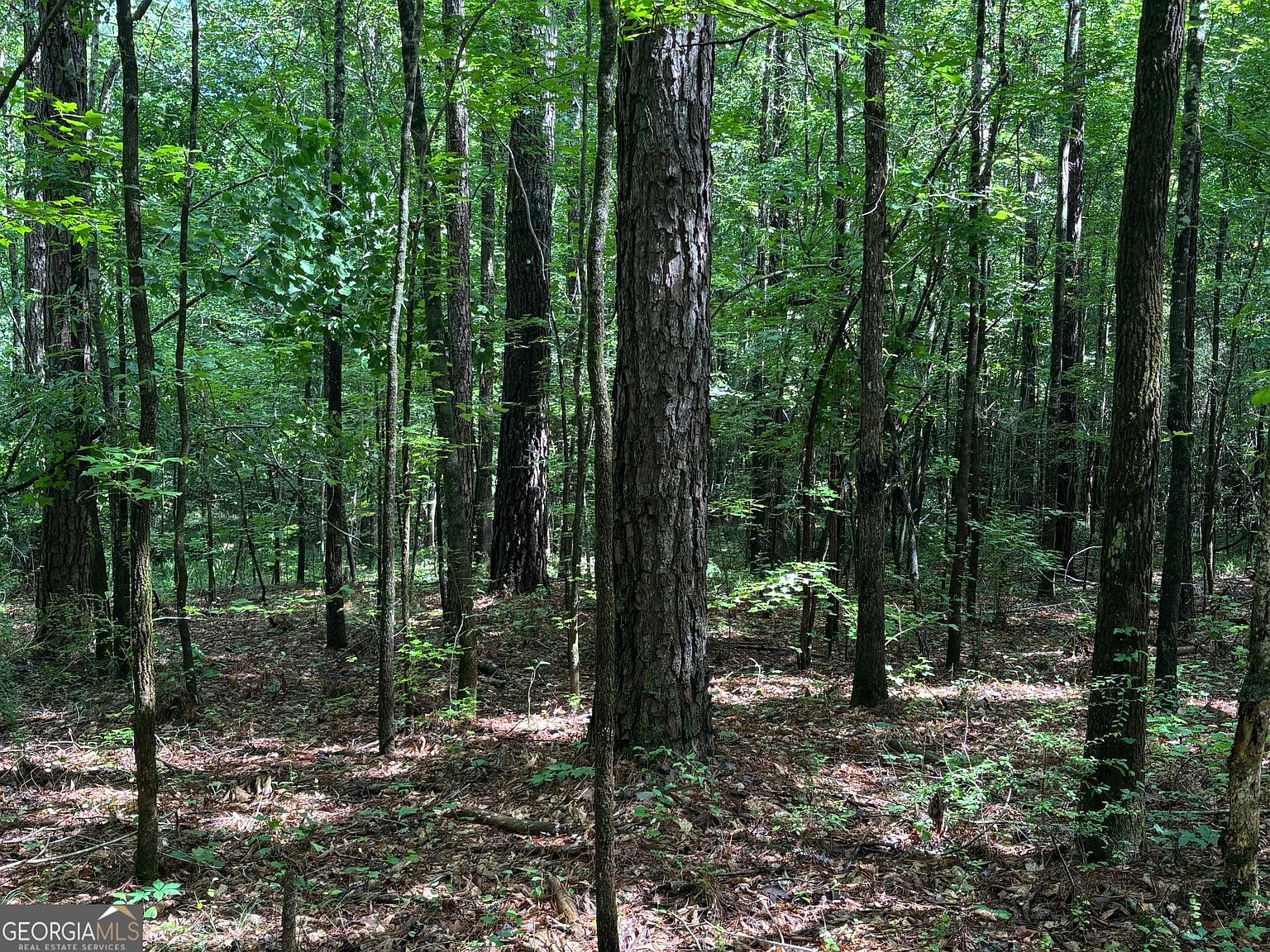 0 County Road 85 Lanett, AL 36863 - Thumbnail 4