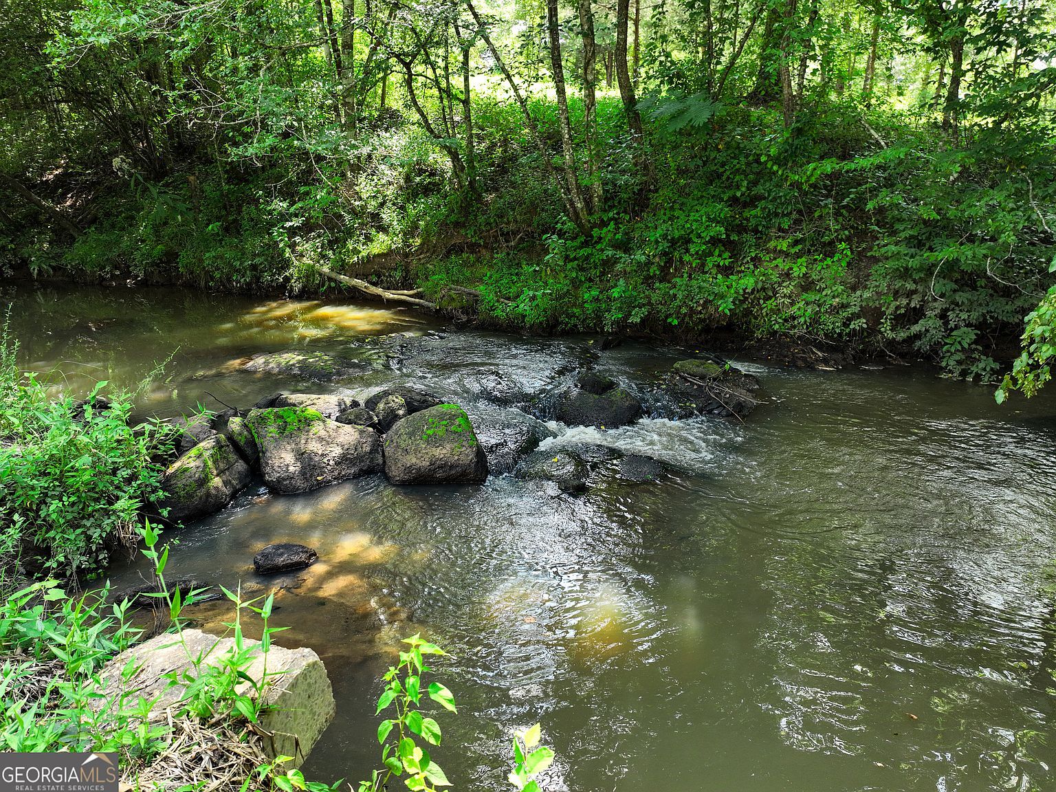 2034 County Road 108 Lafayette, AL 36862 - Thumbnail 4