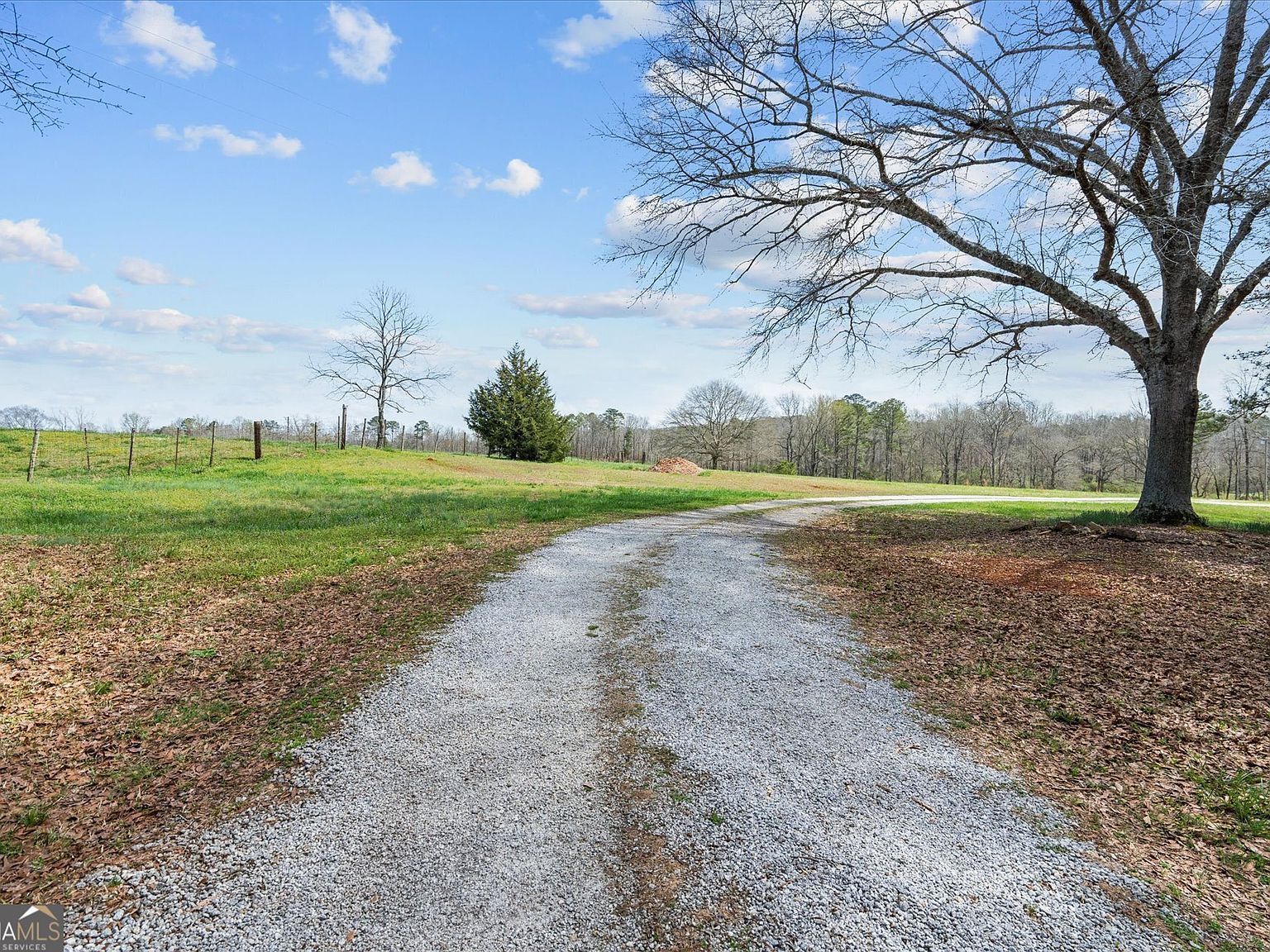 1789 County Road 16 Roanoke, AL 36274 - Thumbnail 4