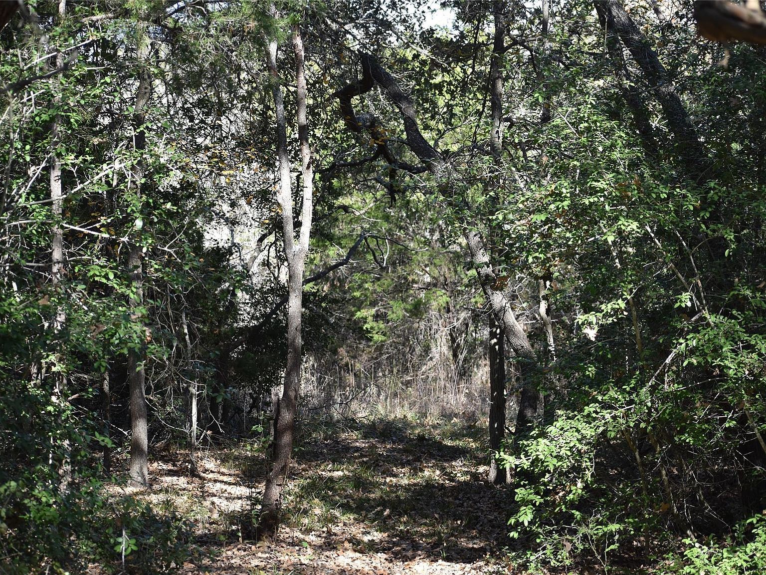 272 Deadwood Rd, Cedar Creek, TX, 78612 - Thumbnail 4