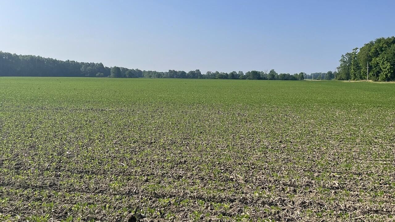 20478 Delaware County Line Rd Marysville, OH 43040 - Thumbnail 4