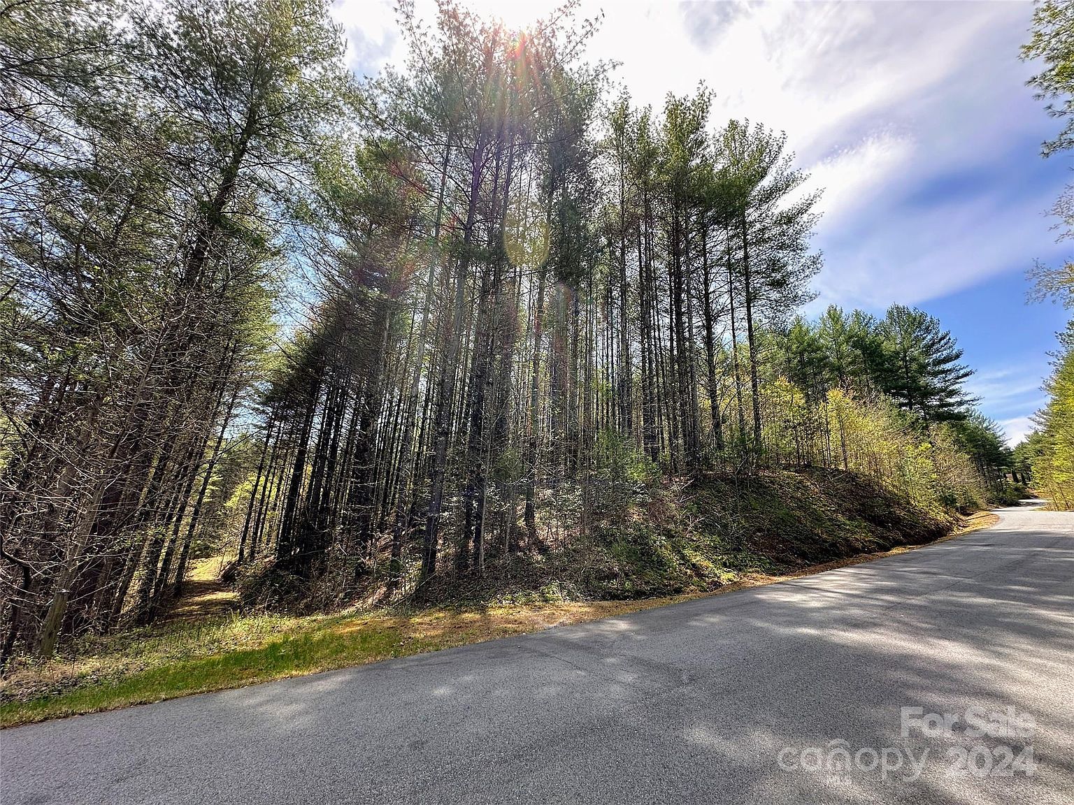 0 National Forest Dr #132 Lenoir, NC 28645 - Thumbnail 4