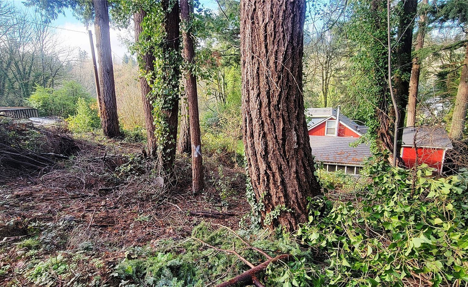 3202 17th St Bremerton, WA 98312 - Thumbnail 4