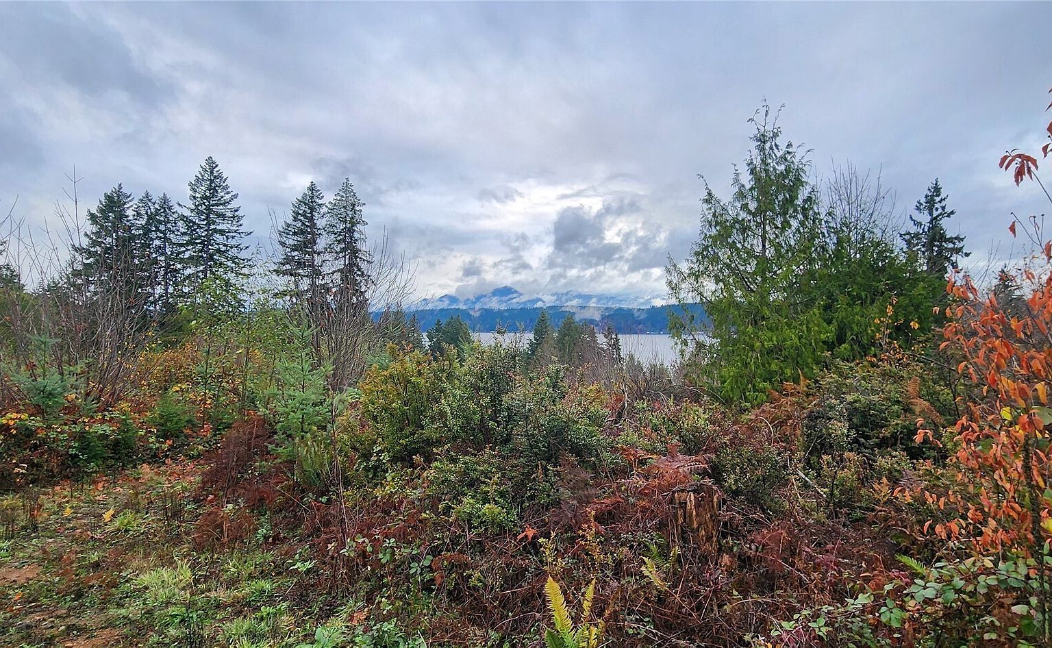 0 E Twanoh Heights Rd Belfair, WA 98528 - Thumbnail 4