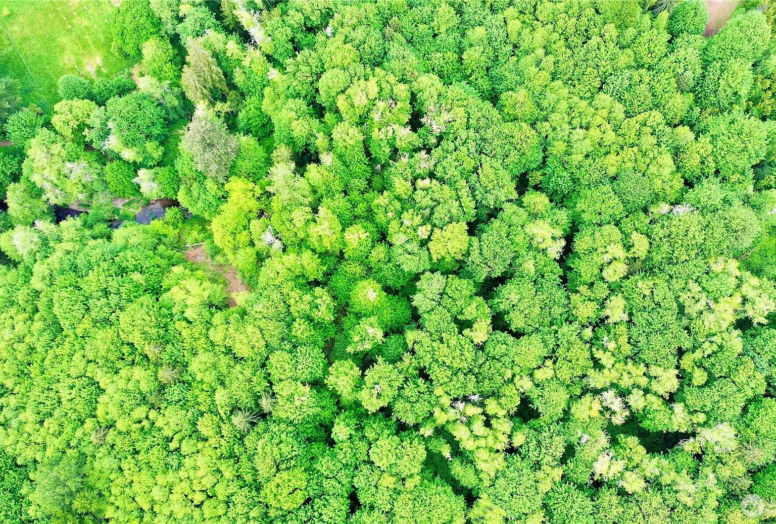 LOT 2nd NE Belfair, WA 98528 - Thumbnail 4