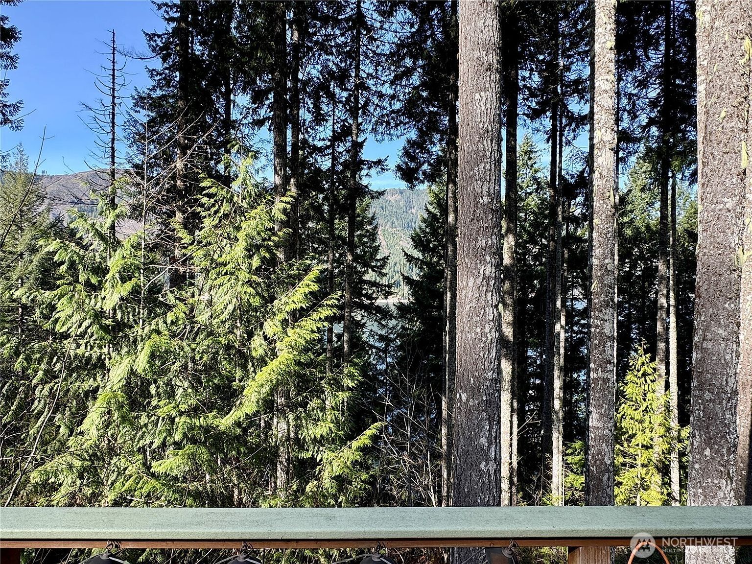 70 N Rim View Pl Hoodsport, WA 98548 - Thumbnail 4