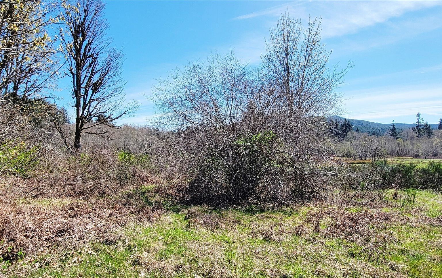 0 W Cloquallum Rd Shelton, WA 98584 - Thumbnail 4