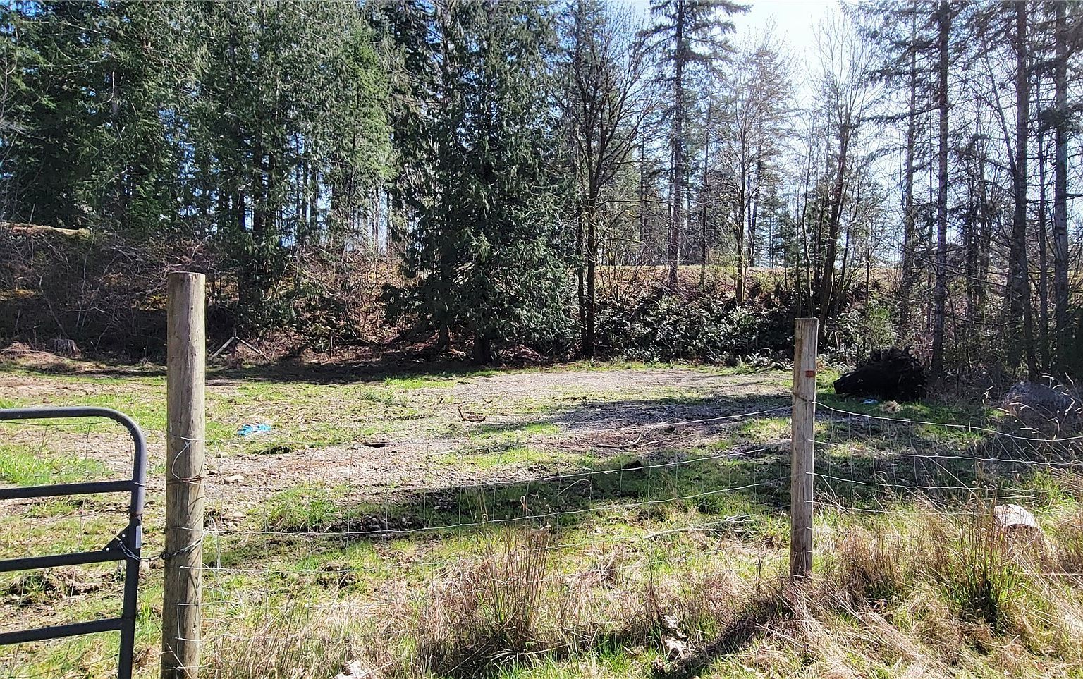 50 W Alder Pl Elma, WA 98541 - Thumbnail 4