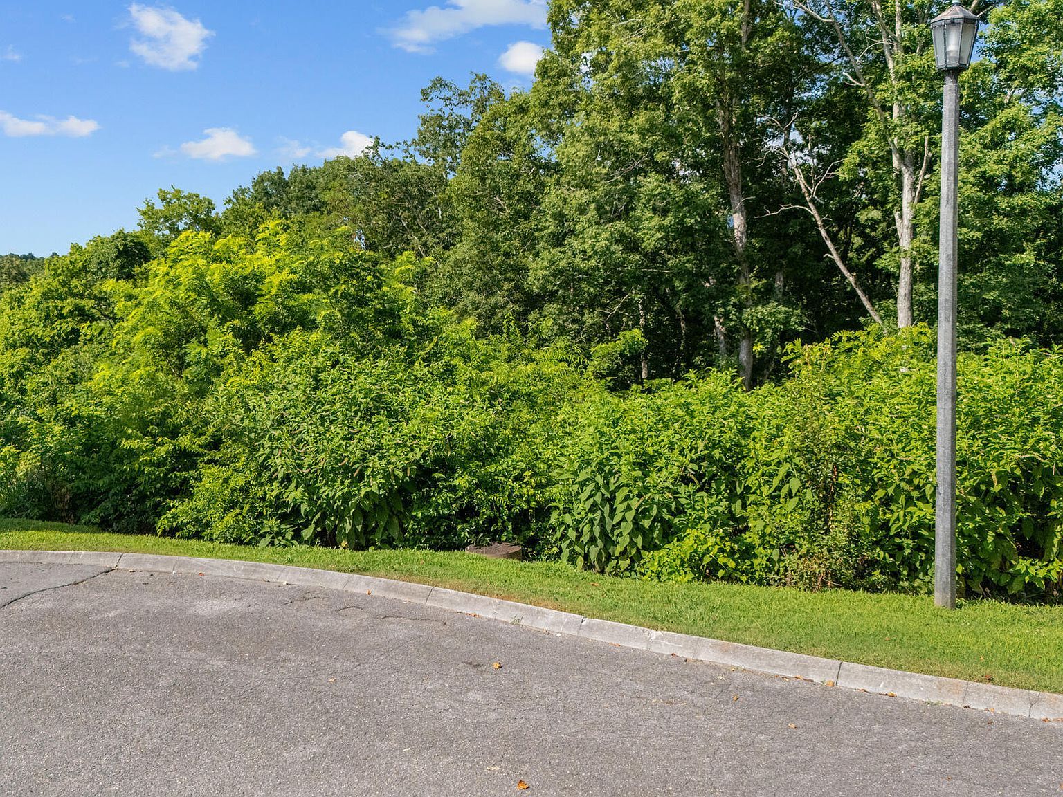 395 Maggie Mack Ln Sevierville, TN 37862 - Thumbnail 4