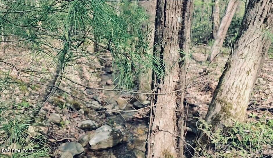 4046 Forest Trail Dr Sevierville, TN 37876 - Thumbnail 4