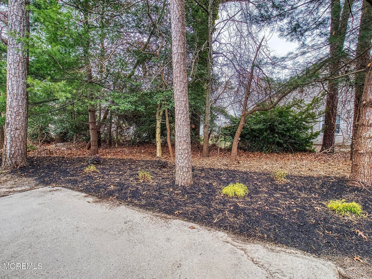 1493 Forelle Ln Toms River, NJ 08755 - Thumbnail 4