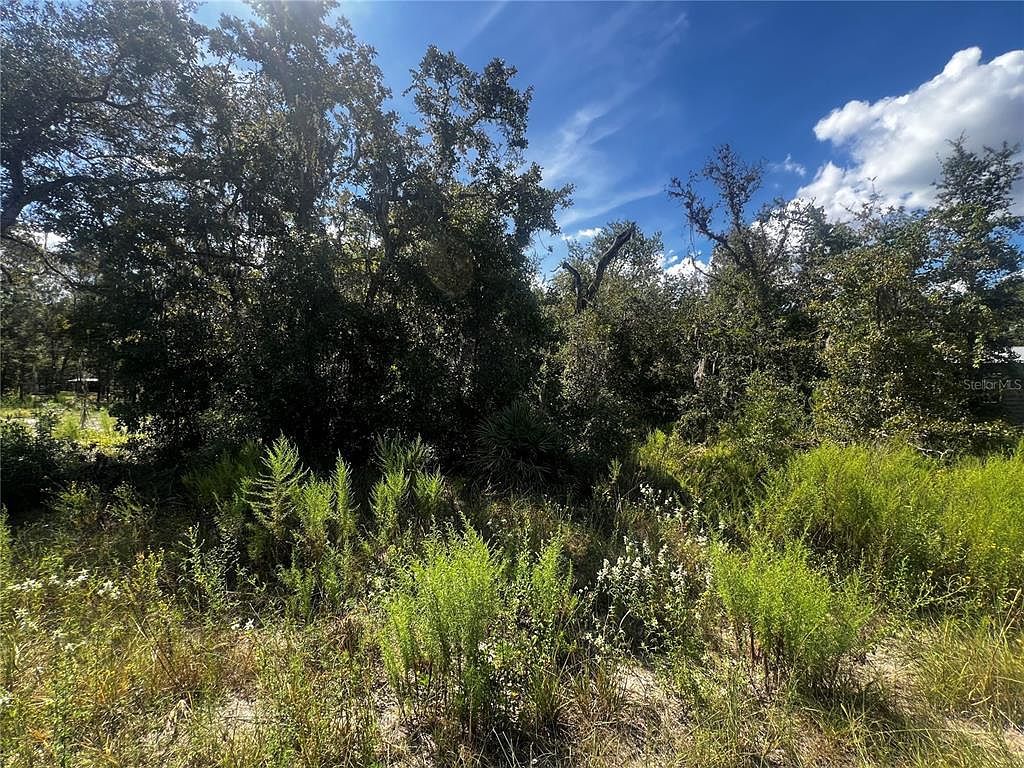 0 Crider Rd LOT 14 Brooksville, FL 34614 - Thumbnail 4