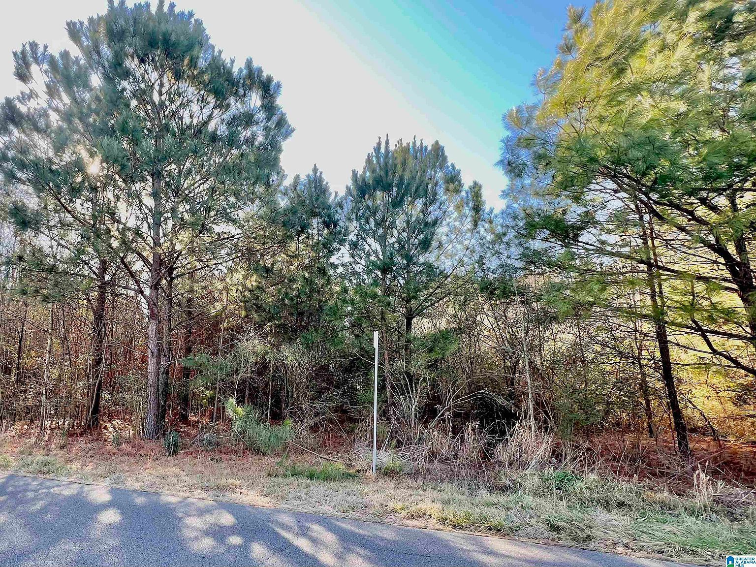 832 11th Ave Pleasant Grove, AL 35127 - Thumbnail 4