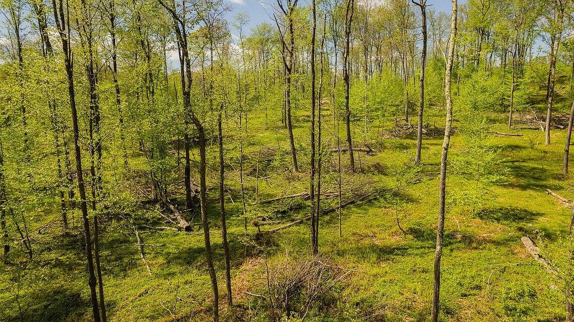 6A Gobbler Ridge Rd Sigel, PA 15860 - Thumbnail 4