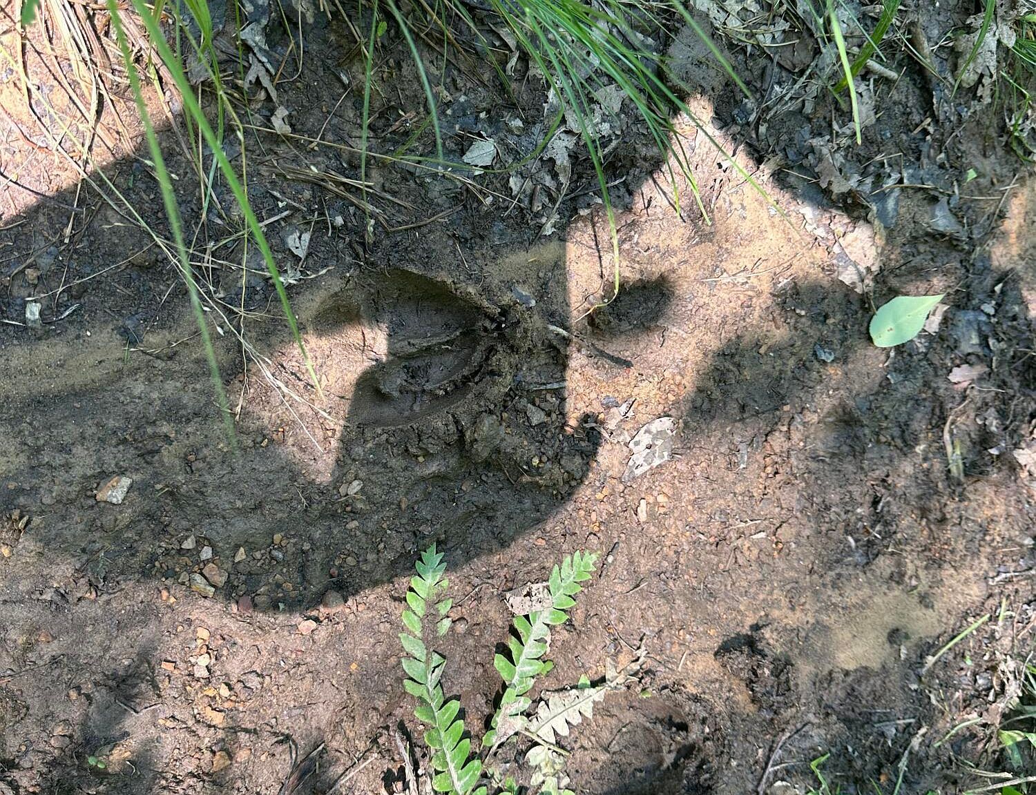 6B Turkey Hollow Rd Sigel, PA 15860 - Thumbnail 4