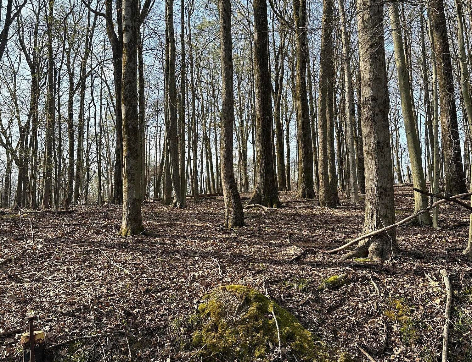 Galloway Rd LOT 249 Du Bois, PA 15801 - Thumbnail 4