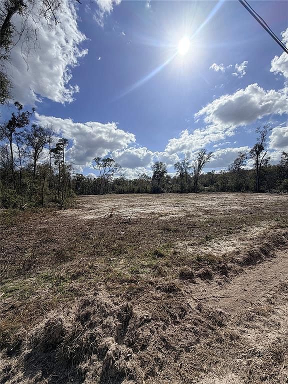 163 NE 159th Ave Lot 30 Old Town, FL 32680 - Thumbnail 4