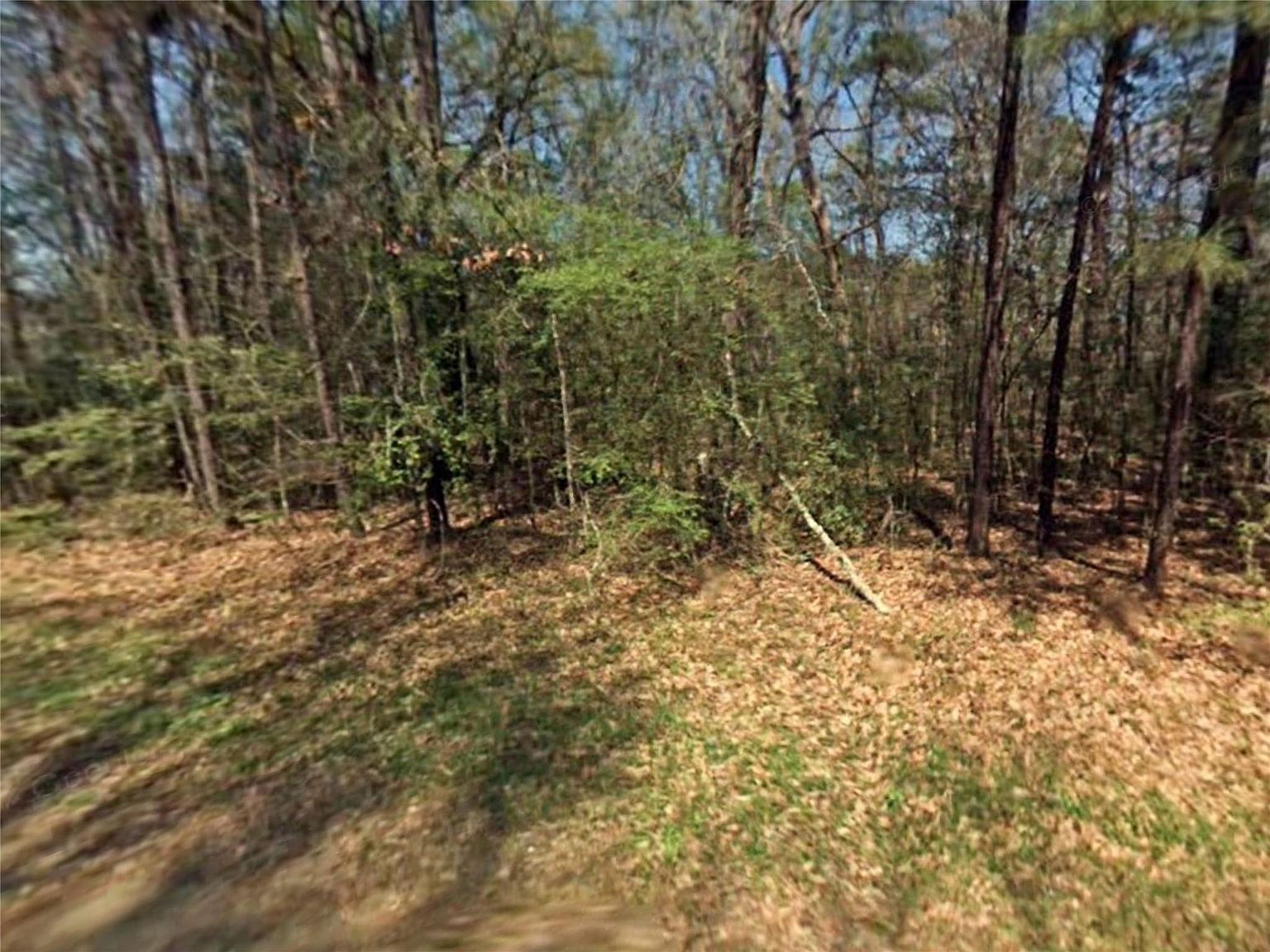 Tbd Lazy Oak Dr Livingston, TX 77351 - Thumbnail 4