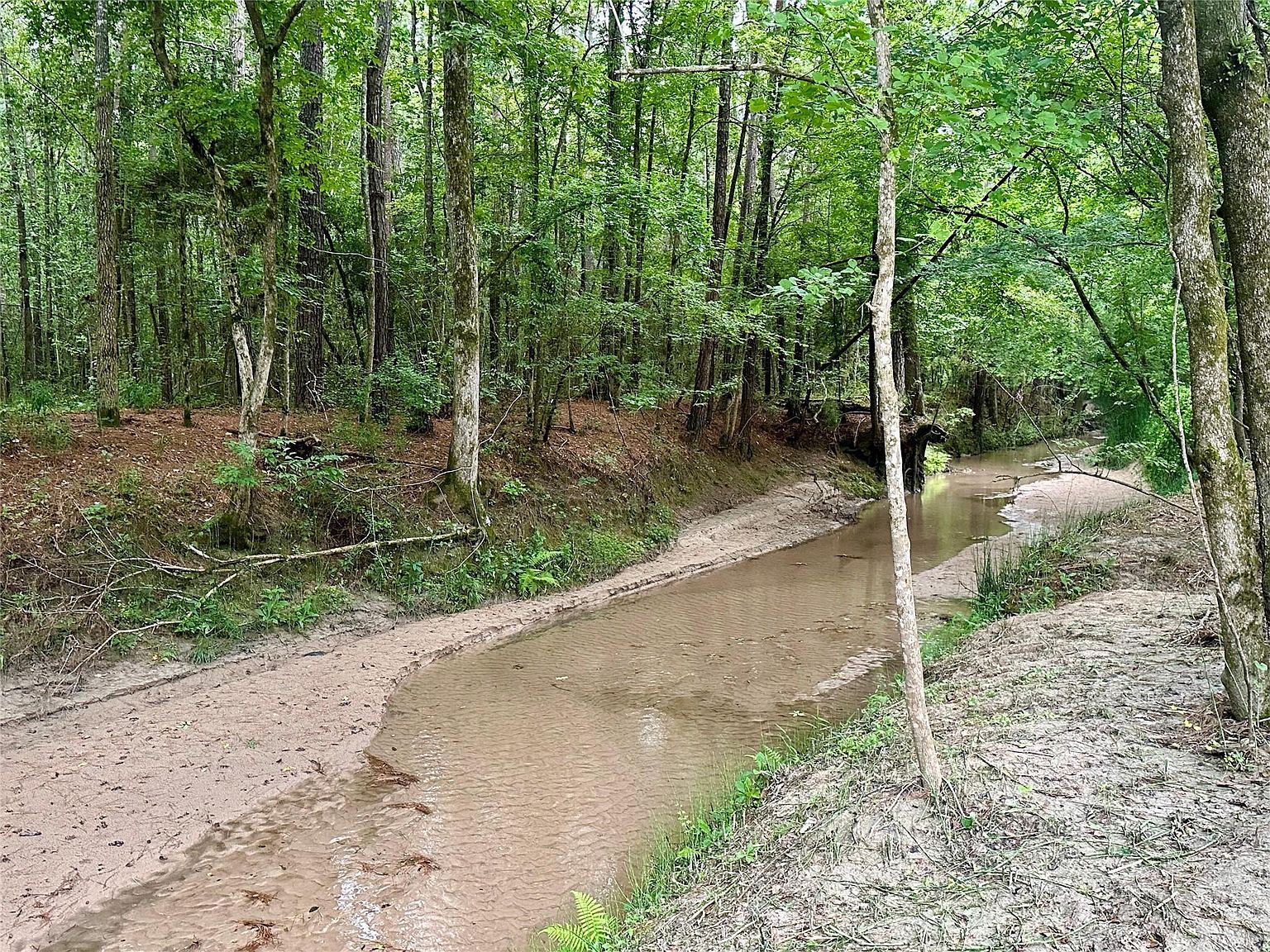 97 W Oak Tree Dr LOT 10-11-12 Pointblank, TX 77364 - Thumbnail 4