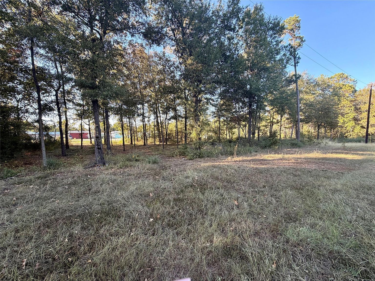 LOT 4 Rollingrock Dr LOT 4 Livingston, TX 77351 - Thumbnail 4