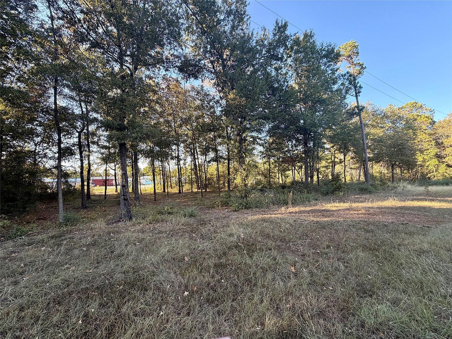 LOT 5 Rollingrock Dr LOT 5 Livingston, TX 77351 - Thumbnail 4