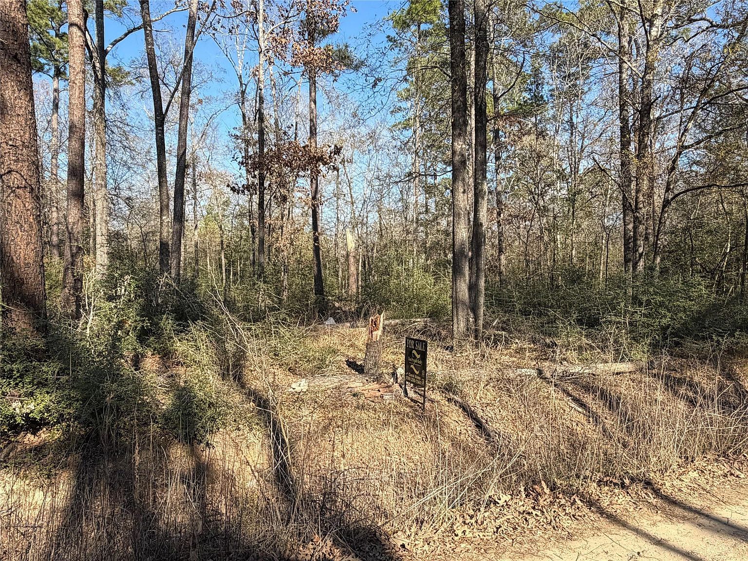 Wild Bird Lot 13 & 14 Livingston, TX 77351 - Thumbnail 4