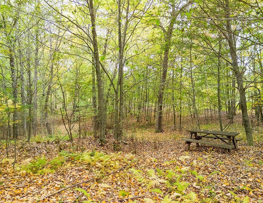 0 Buck Horn Court Rd Wellsboro, PA 16901 - Thumbnail 4