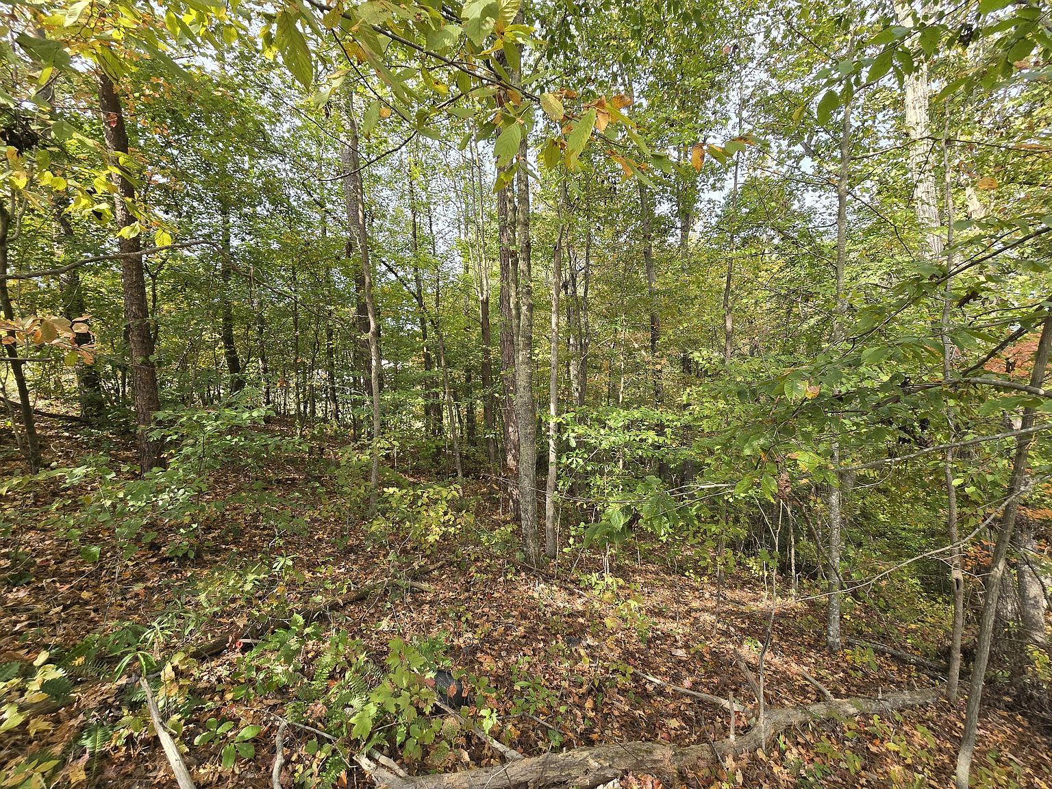 1 Headrick Cir SE, Dalton, GA, 30721 - Thumbnail 4